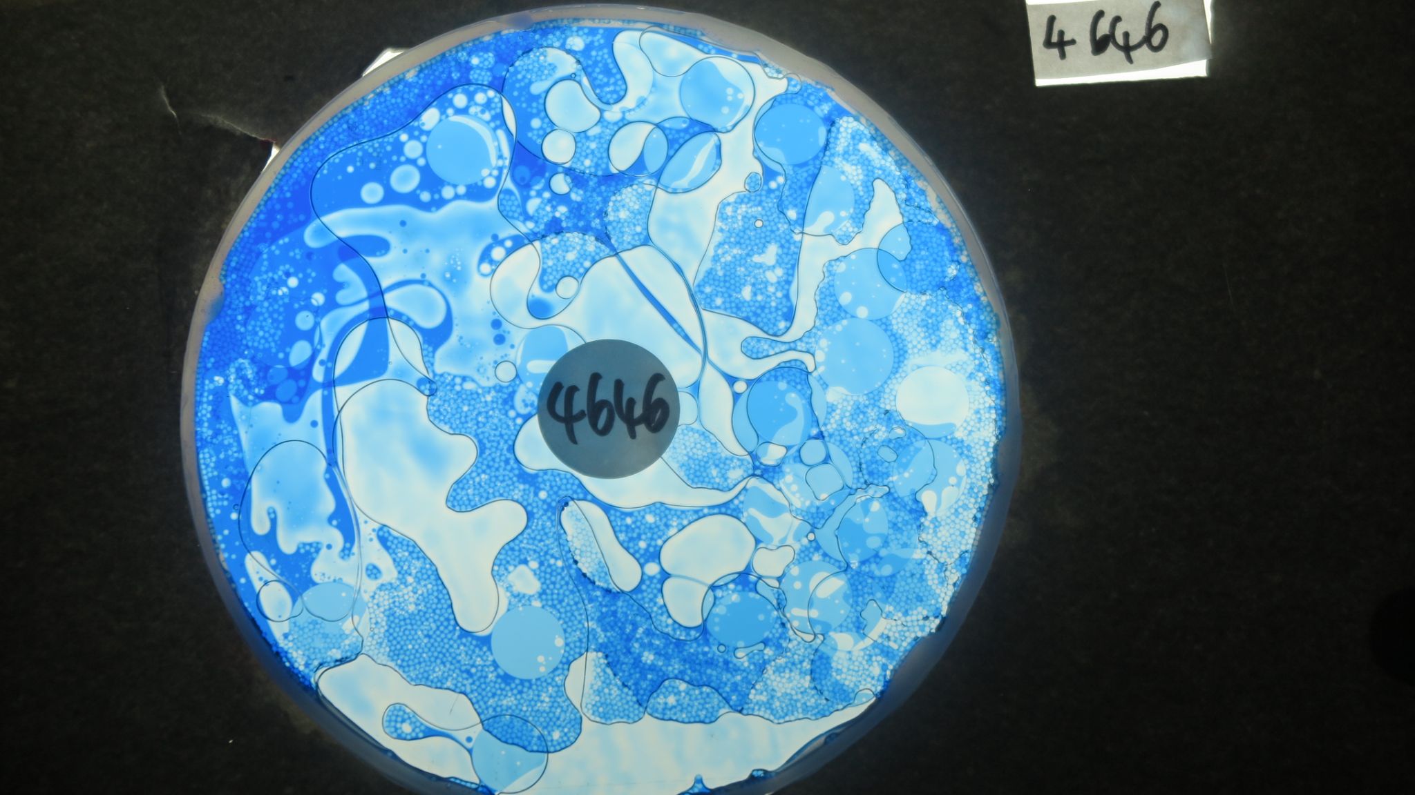 BV4646 bubble vision oil wheel